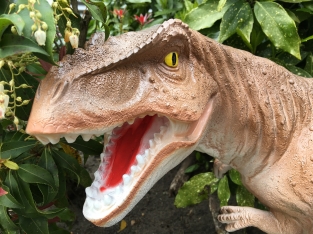 Dinosaurier, schöne Statue eines Tyrannosaurus